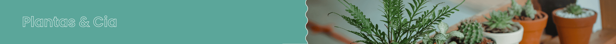 lojas e fornecedores de produtos de decoração (4)