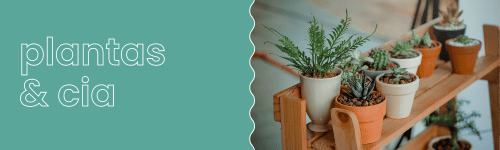 lojas e fornecedores de produtos de decoração (500 × 150 px) (4)